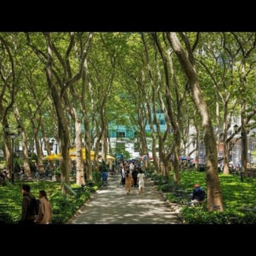 Bryant Park Live View