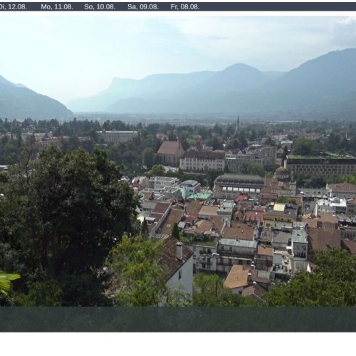 Meran 2000 Live Webcam: Mountain Views & Alpine Flora