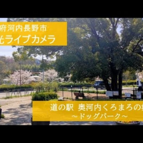 Live View of Kuromaro Dog Park in Kawachi-Nagano, Japan
