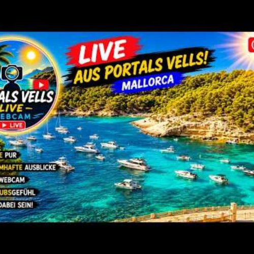 Cala Vinyes Beach, Mallorca: A Live View of Paradise 🌴