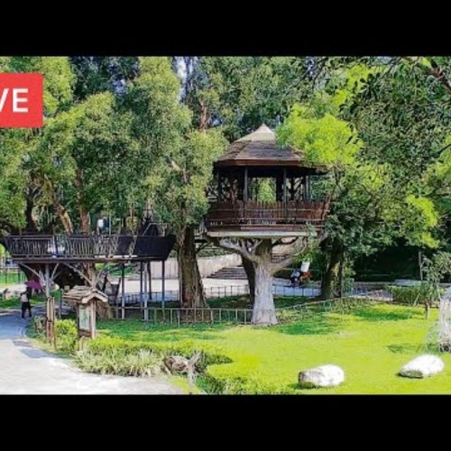 Hutoushan Owl Forest Park Live Cam in Taoyuan, Taiwan