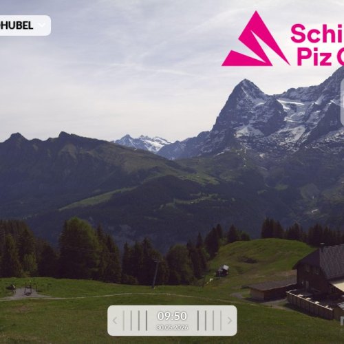 Schilthorn Allmendhubel Live View