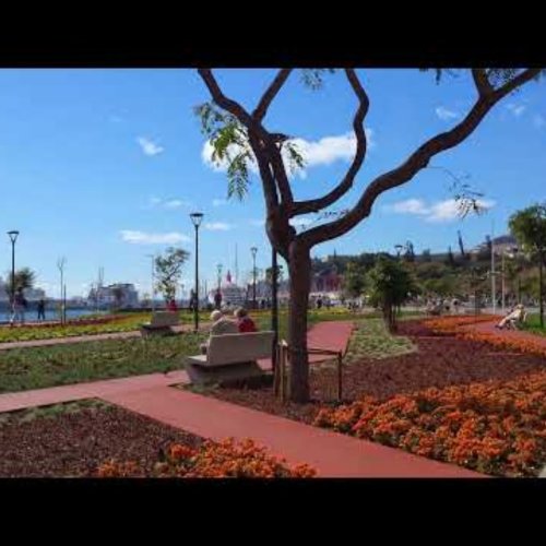 Funchal Harbor & City Park Live Webcam, Madeira