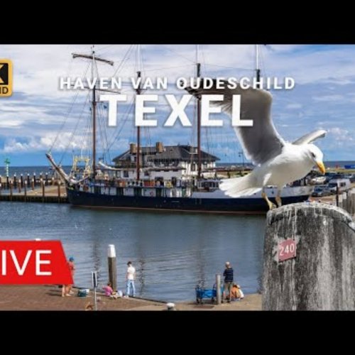 Oudeschild Harbour Live Webcam: Texel, Netherlands