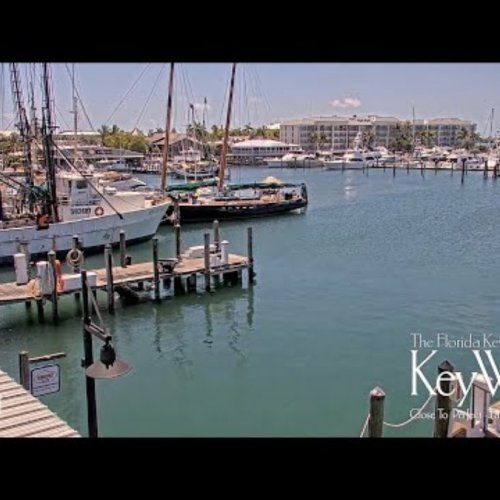 Key West Bight Marina Live Webcam: Historic Seaport Views