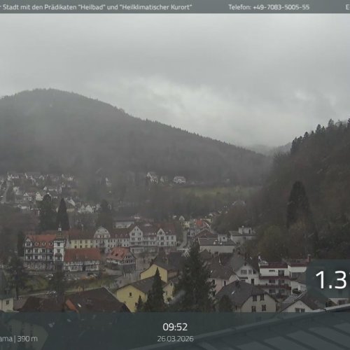 Experience the Serenity of Bad Herrenalb: Schwarzwald Panorama