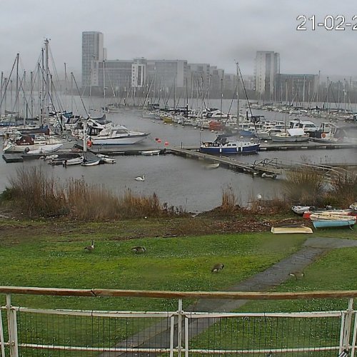 Cardiff Bay Live Webcam: Marina Views & City Skyline