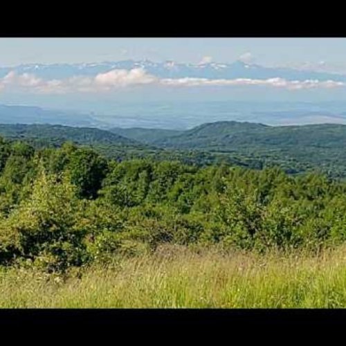 Săcărâmb Mountain Landscape Live View