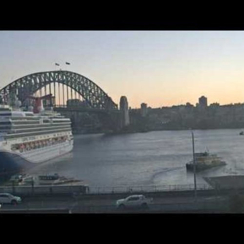 Sydney Harbour Bridge and City Panorama 🌆