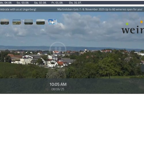 Gols, Austria Live Webcam: Vineyard Views & Burgenland Charm
