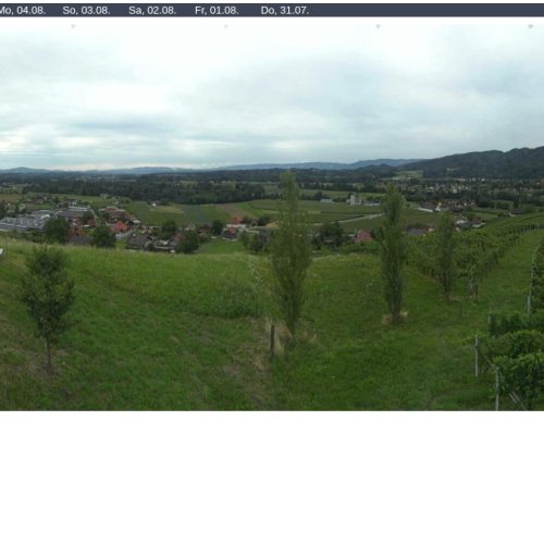 Live Webcam: Aichegg Bad Schwanberg Vineyard Panorama