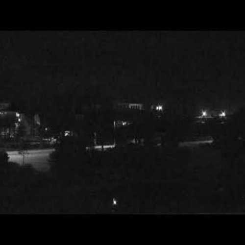 The Isles of Collier Preserve Live Webcam: Naples, Florida