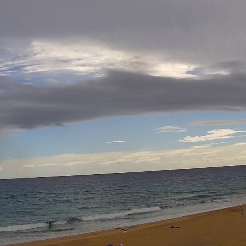 Porto Santo Beach Live Webcam: Golden Sands of Madeira
