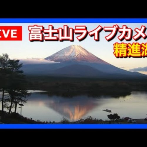 Mount Fuji Live Stream from Lake Shoji, Fujikawaguchiko, Japan