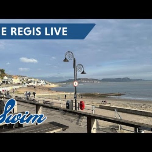 Lyme Regis Beach Live Webcam: Dorset Coast Views