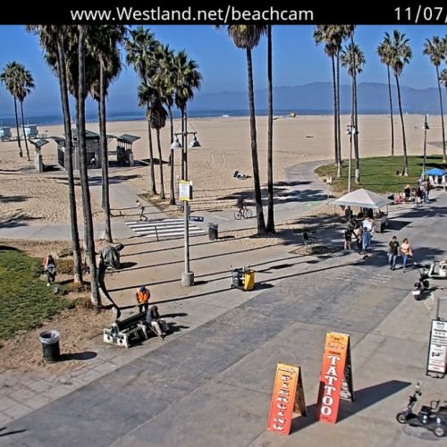 Venice Beach Boardwalk Live Cam: Ocean, Palm Trees & Street Life