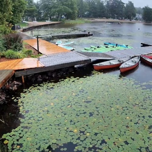 Muskoka Lakefront Live Camera: Boats, Docks & Water Lilies in Ontario