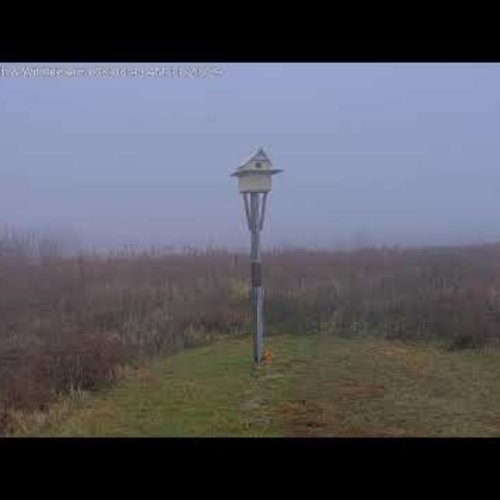 Goose Pond Fish & Wildlife Area Live Cam, Linton, Indiana