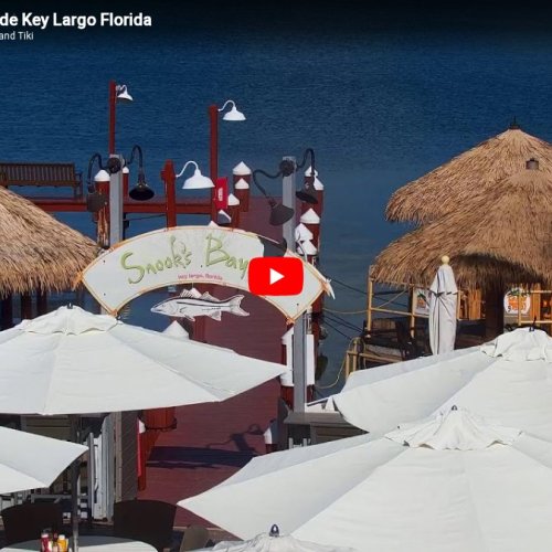 Snook's Bayside Key Largo Florida Live Cam