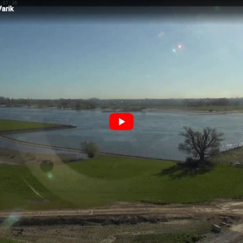 Live Views from the Waal River in Varik, Netherlands 🌟