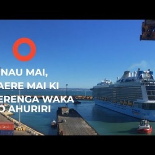 Little Blue Penguins (Kororā) Nesting at Napier Port Live Webcam