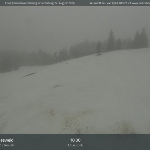 Sörenberg Rossweid Live Webcam: Swiss Alps Mountain Views