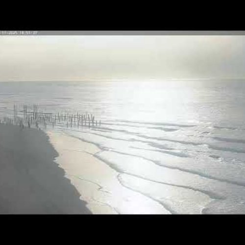 Petten Beach Live Cam: North Sea Views & Coastal Dynamics