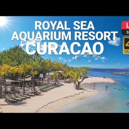 Live from Royal Sea Aquarium Resort, Willemstad, Curaçao