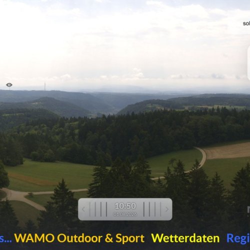 Hagenturm Neuwies Live View: Swiss Forest Panorama