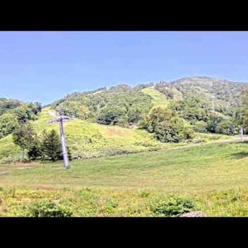 Niseko Hokkaido Live Webcam: Ski Slopes & Mountain Views