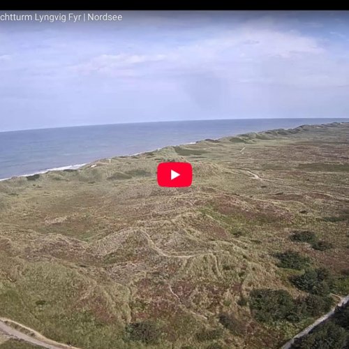 Lyngvig Lighthouse Live Webcam: North Sea Views & Danish Dunes