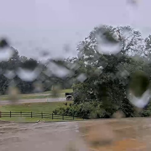 Mendenhall, Mississippi Live Weather View